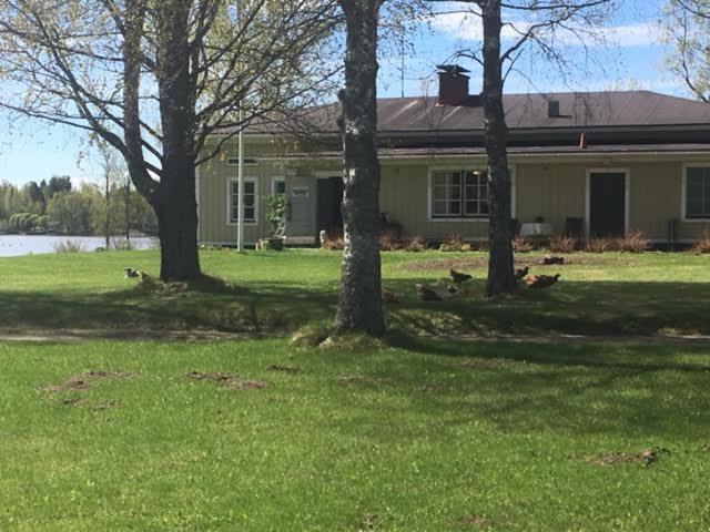Bauernhof Lomatila Ollila Farm Kerimäki