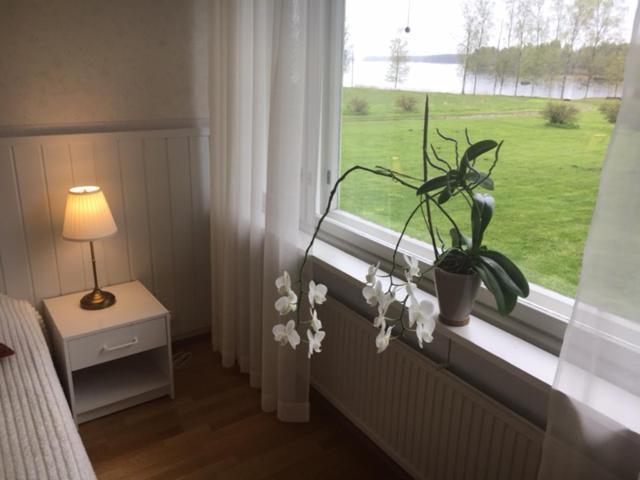Lomatila Ollila Farm * Kerimäki